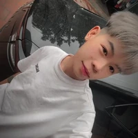 vũ việt anh