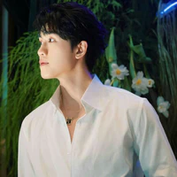 Vũ Thịnh