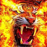 Hổ Lửa