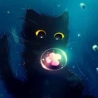 Hệ Thống Mèo Đen