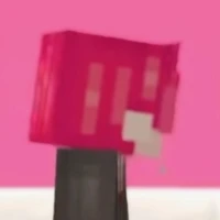 𝚃𝚘𝚗𝚐 𝚃𝚑𝚘𝚗𝚐 𝙷𝚒𝚑𝚊