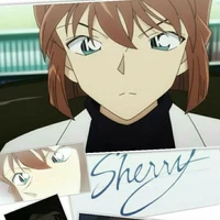 shery