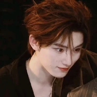 Đinh Trình Hâm
