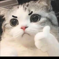 T/g yêu đ/g