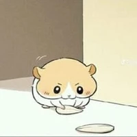 Huỳnh nguyễn quỳnh nhi