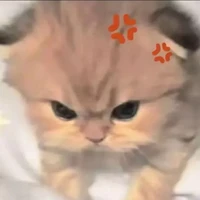 Nguyễn trần khả hân