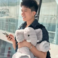 Anh Tú Voi