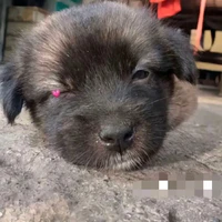 t/g cutii❤️‍🩹