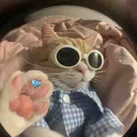t/g biết sủa:”
