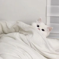 Bé moon
