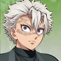Shinazugawa Sanemi