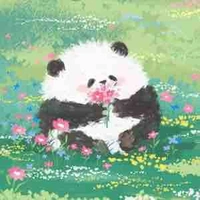 Hệ thống - tiểu bảo 