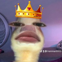 TG đêy