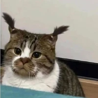 thầy hiệu trưởng trường A