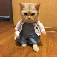 bác sĩ C