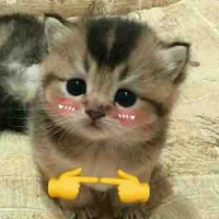 nhỏ T/g +))