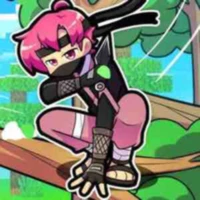 Hiha_ ninja - top