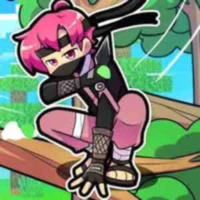 Hiha_ ninja - top