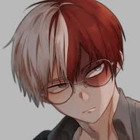 todoroki shouto