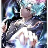 hiha des