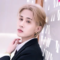 Trịnh Trần Phương Tuấn