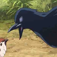 Quạ chuyền tin❔