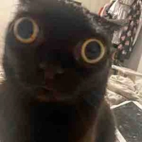 Tôi >=)))