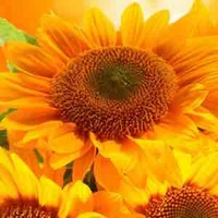 All