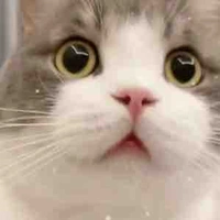 AllTop - ai không có mặt 