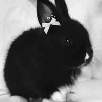 Hệ Thống_T/G_Bánh Bao 