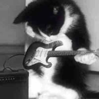 Hệ Thống_Tờ Dương 