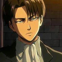 levi