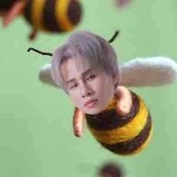 Sát Thủ Chuyên Nghiệp