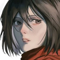 mikasa