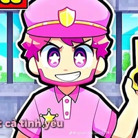 hiha police