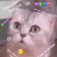 Ăn xin 4.0