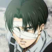 Levi