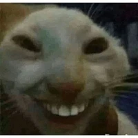 t/g đẹp goái đê