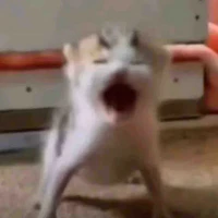 allphảndiện