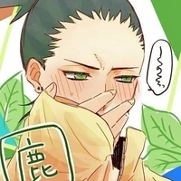 Nara Shikadai