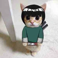 Rock Lee 