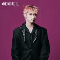 Nguyễn Thái Sơn (em)