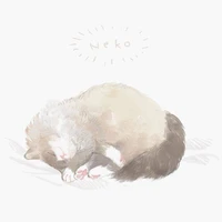 Hệ thống - Neko