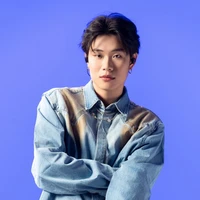 Trần Đăng Dương- Dương Domic