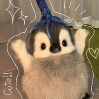 Zinniyy ( iu các đọc giả)