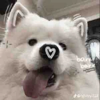 T/g đẹp trai👻