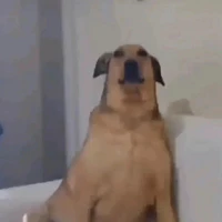 t là t/g đây :)