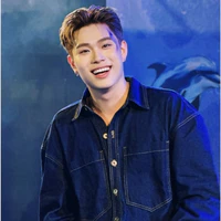 dương domic