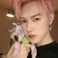 SƠN