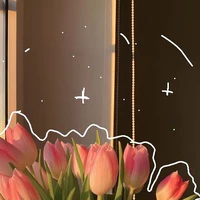 Cân mọi loại nhân vật:)))
